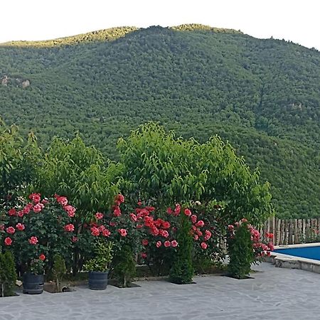 Green Garden Կանաչ Այգի Ijevan Esterno foto