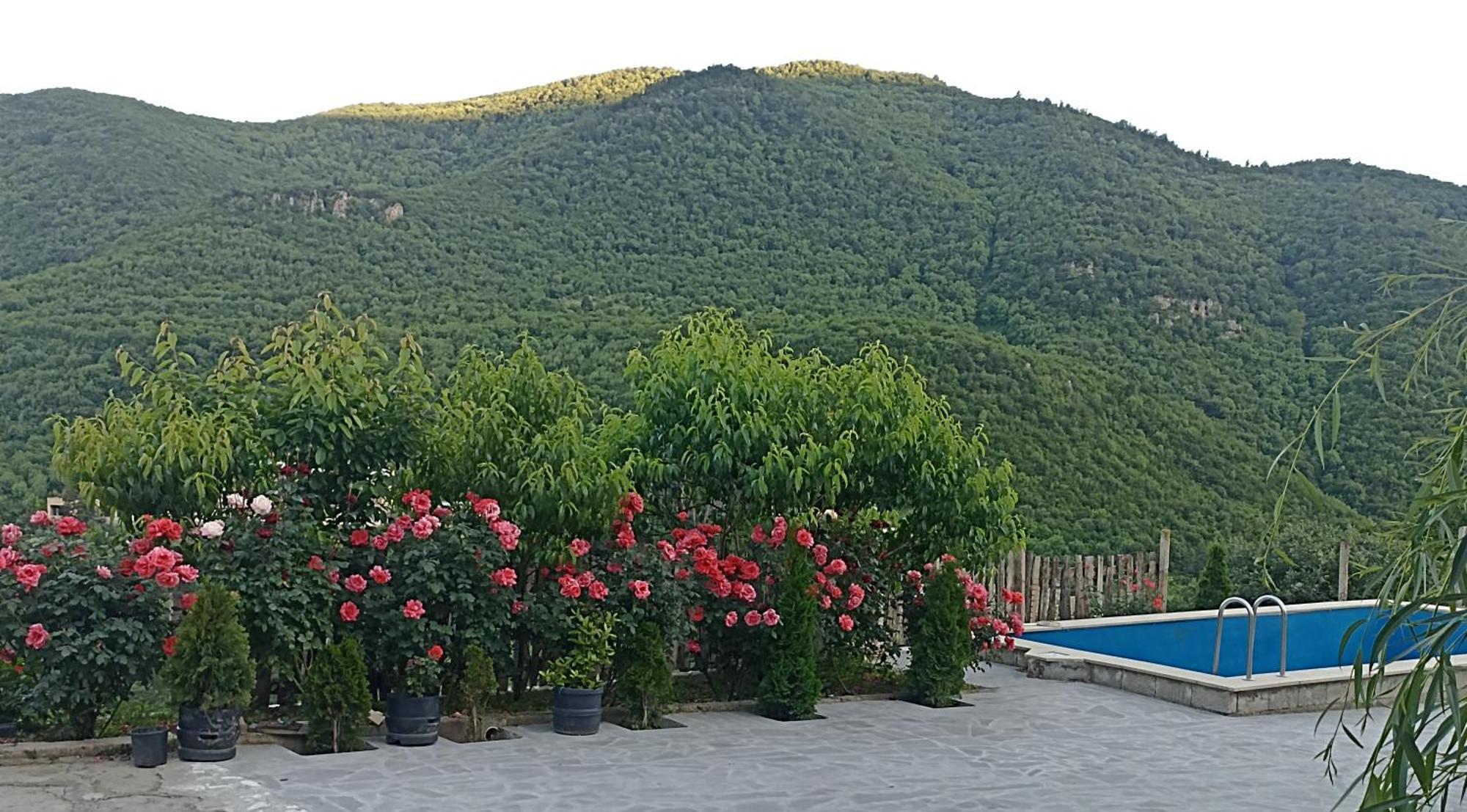 Green Garden Կանաչ Այգի Ijevan Esterno foto