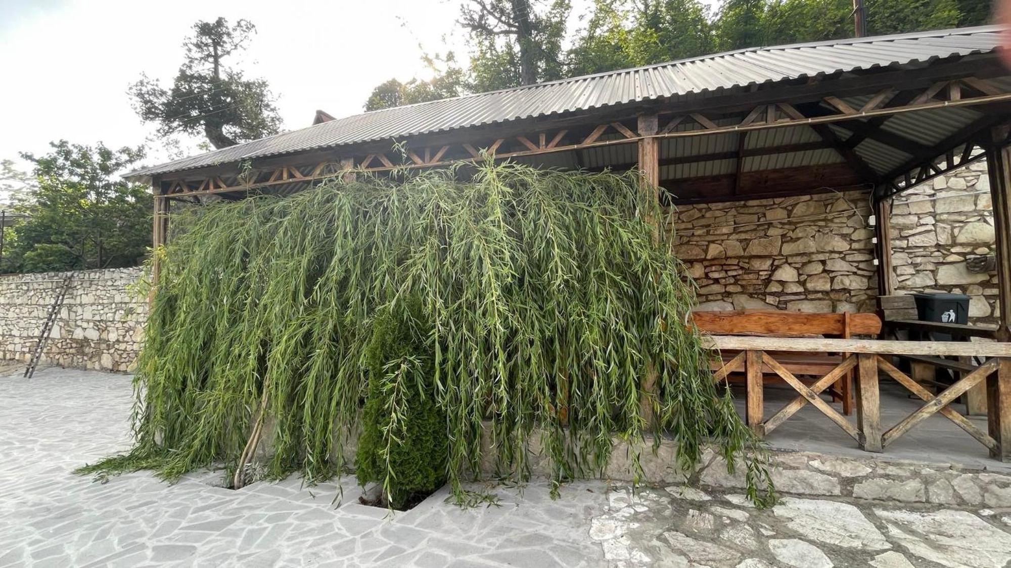 Green Garden Կանաչ Այգի Ijevan Esterno foto