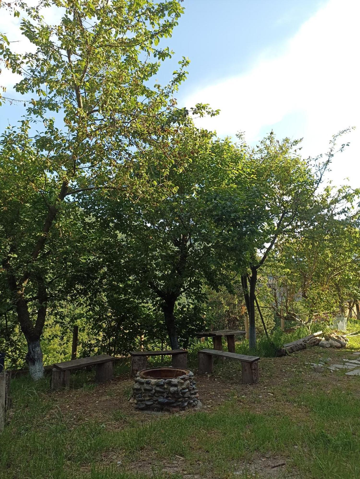 Green Garden Կանաչ Այգի Ijevan Esterno foto
