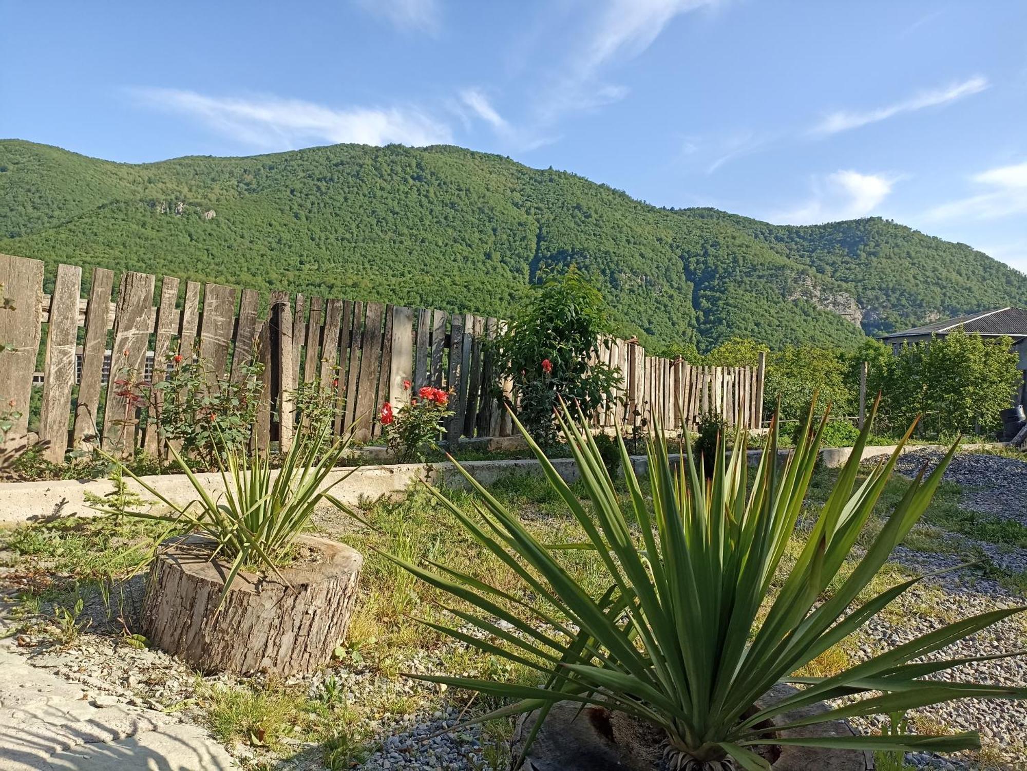 Green Garden Կանաչ Այգի Ijevan Esterno foto