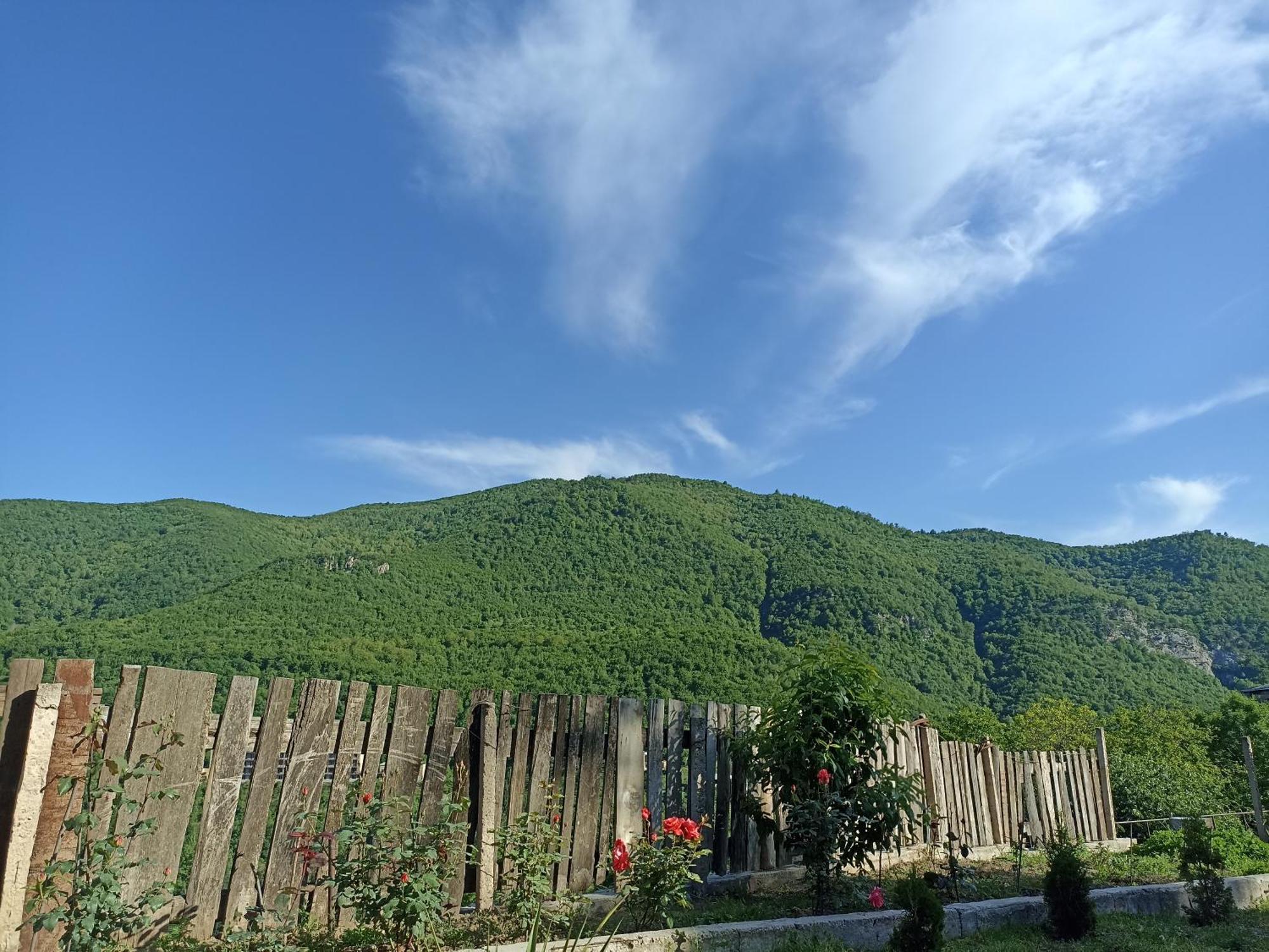 Green Garden Կանաչ Այգի Ijevan Esterno foto