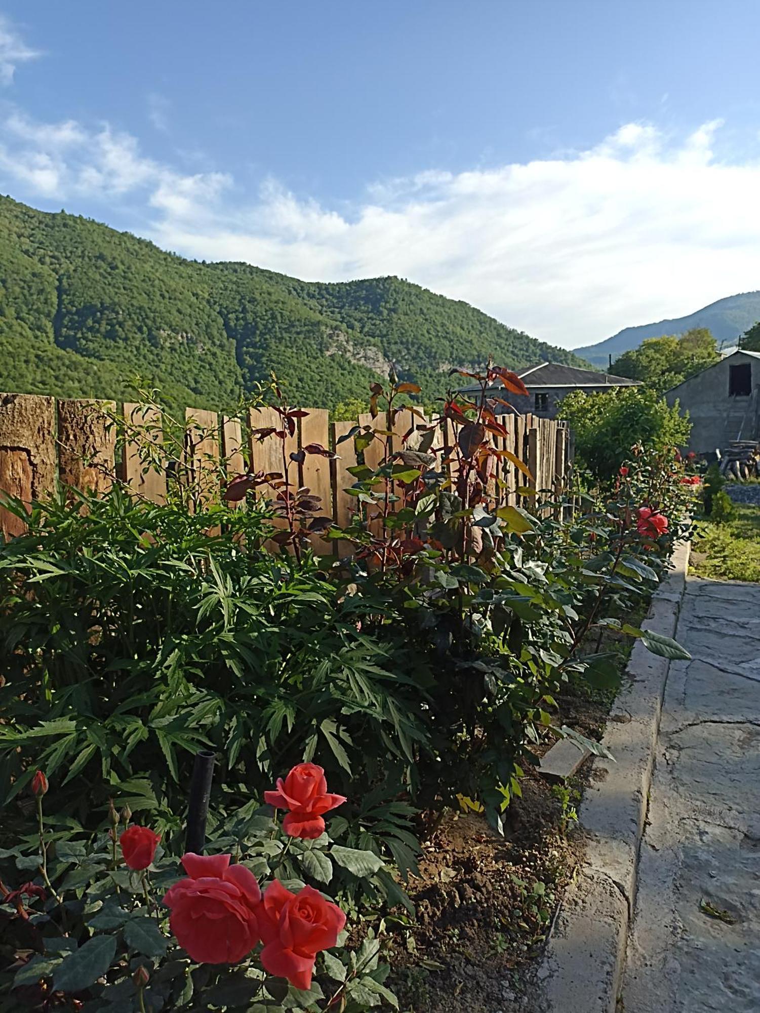 Green Garden Կանաչ Այգի Ijevan Esterno foto